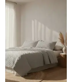 EDREDON BORREGUILLO DOMANI 