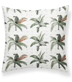 COJIN GENE COORDINADO